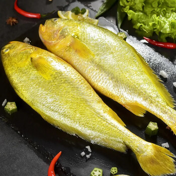 黄花鱼新鲜速冻大黄鱼深海鱼生鲜海鲜水产米拉明德大黄鱼三条装
