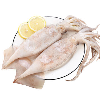 大鱿鱼整只冷冻香辣鱿鱼须海鲜大章鱼足鱿鱼头八爪鱼鲜活水产宏嘉睿大