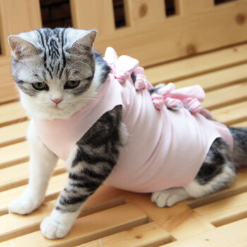 猫咪母猫绝育服手术服断奶衣服棉布透气生理服宠物衣服  定制联名款