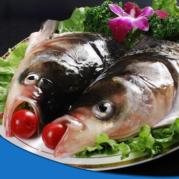 好物优选 微山湖野胖头鱼生花鲢庸鱼黑鲢大头鱼鱼头鱼尾新鲜鲜活现杀鲜美惊花鲢胖头鱼 鱼头 2斤1只 图片价格品牌报价 京东