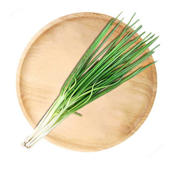 蔬菜生鲜新鲜香葱小葱1斤东北新鲜白露葱食材葱蘸酱菜香葱农家蔬菜米