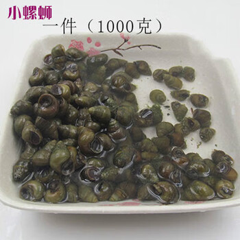 虹弦见青壳螺蛳笩钓青鱼薄壳活螺丝鲜活田螺笩钓青螺观赏螺打窝小螺 2斤小青壳螺蛳 500g约：240-290【图片 价格 品牌 报价】-京东
