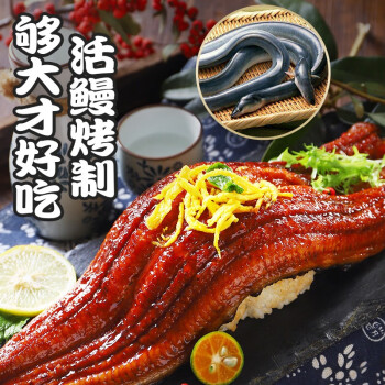 互联火日式鲲鳗鱼蒲烧加热即食活鳗烤制鲲鳗鱼蒲烧汁寿司生鲜鱼类鳗鱼
