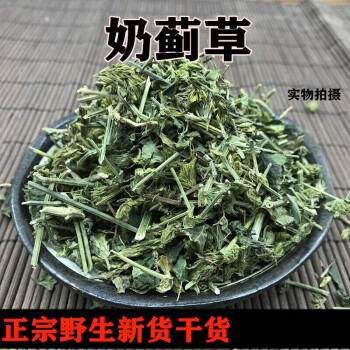 奶薊草乳薊草新貨500g天然水飛薊草