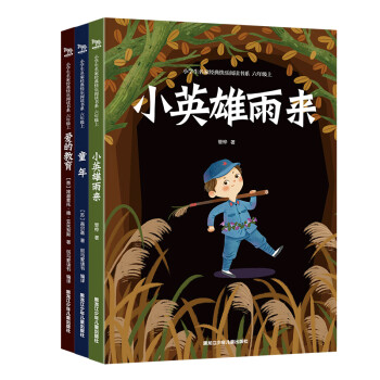 快乐读书吧六年级上册：小英雄雨来+爱的教育+童年（共三册）
