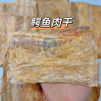 芬氏 泰国进口鳄鱼肉干 无腥臭味生晒鳄鱼干煲汤干肉无薄片 泰国鳄鱼