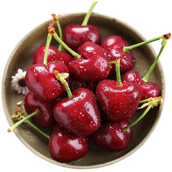 青樱红荔  国产车厘子美早大樱桃新鲜水果礼盒 jj级大果 2盒1000g 果