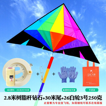 奥迪双钻auldey潍坊风筝品牌新钻石风筝伞布碳素杆新款好飞树脂杆26白