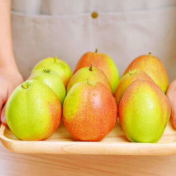 浮萌陕西红香梨新鲜水果当季香梨整箱应季特产梨子 3斤 【小果】头茬