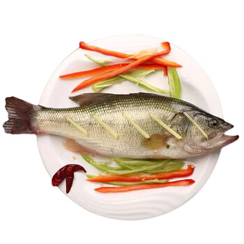 最洽淡水鲈鱼渔民现捕现杀无小刺加州鲈鱼 4条装 净膛前500g/条