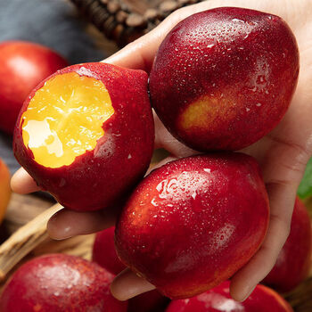 大连新鲜油桃黄心桃子水果 生鲜 应季孕妇水果脆甜 黄肉蜜桃 1000g 中