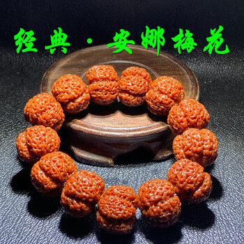 珍藏级5五瓣满肉安娜王者梅花送礼尼泊尔大金刚菩提手串礼物男士 5瓣