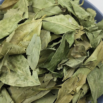 药声录(yaoshenglu)新货 金橘叶 中药材 桔叶 桔