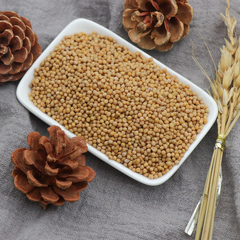 白芥子 250g克生白芥籽白介子辣菜子芥菜子白芥籽天然中药材 白芥子