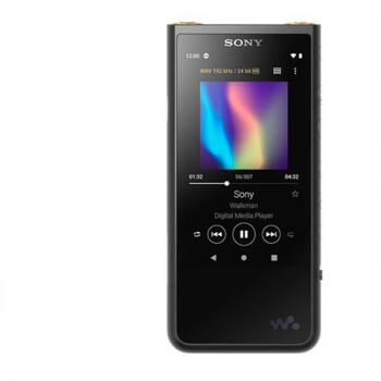 索尼（SONY）MP3HIFI随身听发烧无损音乐播放器NW-ZX300A 全新仅拆封ZX