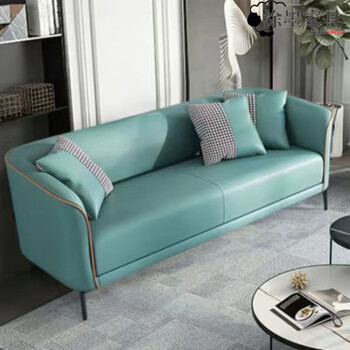 涂墨 沙发客厅现代轻奢免洗科技布双人三人小户型公寓出租房网红款沙