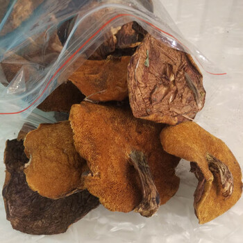 探索蒙山的自然美景与独特特产——走进蒙山县