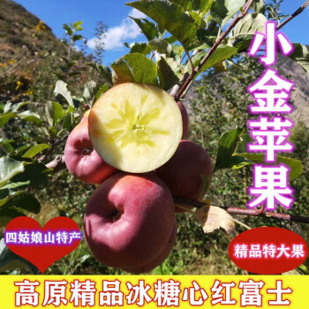 蜜企味小金縣蘋果四川阿壩紅富士冰糖心水果高原大果香脆甜現摘現10斤