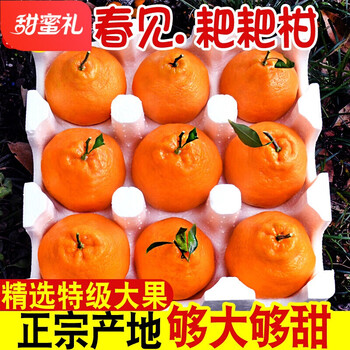 丑橘和耙耙柑哪个糖分高(丑橘跟耙耙柑一样吗)