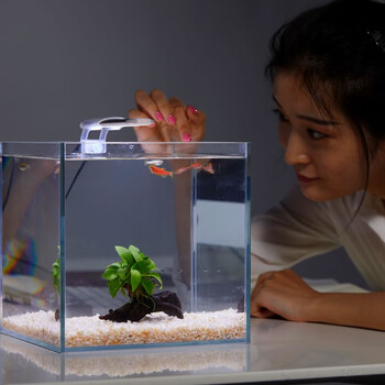 俪鱼 Liyu 超白玻璃鱼缸桌面小型生态鱼缸照明过滤套装小水族箱长缸过滤套装 图片价格品牌报价 京东