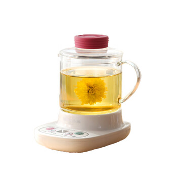 4l迷你养生杯养生壶 热牛奶电热杯煮花茶壶烧水壶电热水壶配玻璃滤网