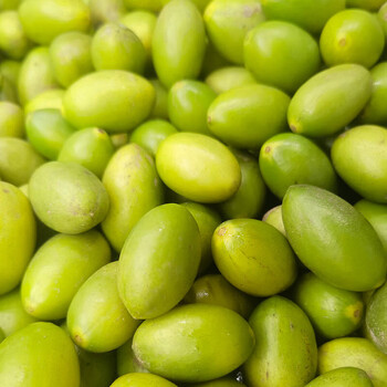 哺食旺正宗潮汕老树灵峰橄榄非甜新鲜现摘青橄榄生吃酥脆回甘橄榄果甘