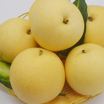 皇冠梨新鲜梨子香梨鸭梨当季水果现摘翠冠梨5斤