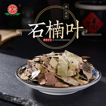 石楠叶中药材500g风药石南叶红树叶石岩树叶乌饭果叶石楠叶南珠叶