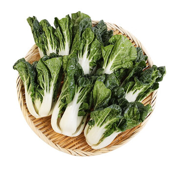 东升农场东升奶白菜小白菜油菜约300g宁夏蔬菜新鲜配送