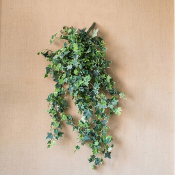 掬涵常春藤仿真绿植装饰爬藤缠绕藤蔓植物装饰造景墙面气氛b超大
