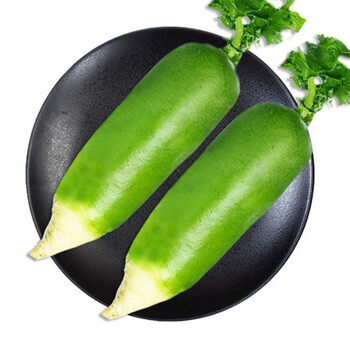 采缇山东潍坊水果萝卜10斤甜脆水果型萝卜 水果萝卜5斤装