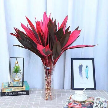 水培绿植紫竹春冬季红细杆植物花卉盆栽新年装饰品春节鸿运竹60高5颗