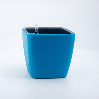 莱之秀创意简约自动吸水花盆办公室大号绿萝懒人花盆塑料天蓝色特大