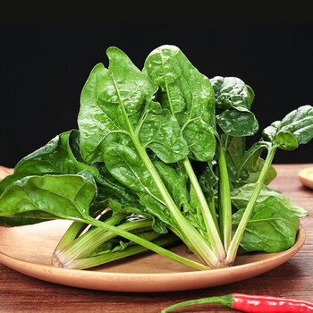 新鲜农家自种露天新鲜红根菠菜嫩叶小菠菜 新鲜菠菜5斤装
