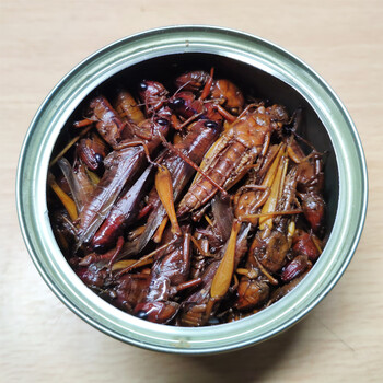 蟋蟀罐头非活体饲料蚂蚱蛐蛐大麦面包虫鬃狮守宫食物龟粮虾干 蚂蚱