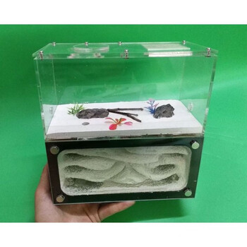 蚂蚁城堡繁殖版超大有蚁后两层超大立体石膏蚁巢混凝土巢蚂蚁巢蚂蚁窝