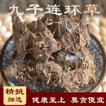 串连珠中草药图片图片