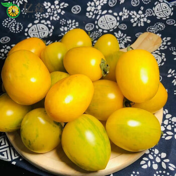 东北黄柿子农家自种柿子绿色小番茄皮球柿子新鲜水果蔬菜 黄柿子四斤