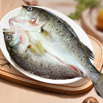 鲈鱼开背新鲜冷冻鲜活深海鱼七星鱼海鱼海鲈鱼水产烤鱼半成 400g*3