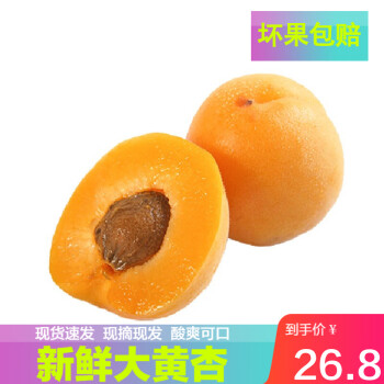 大黄杏杏子新鲜黄杏子农家酸甜水果2500g 图片价格品牌报价 京东