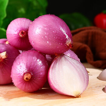 小圆葱浓香红葱头东北毛葱鬼子葱珠葱笨毛葱头西餐小洋葱餐饮佐料净重