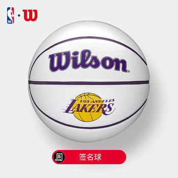 威尔胜wilson威尔胜nba球队队徽迷你篮球签名纪念球儿童mini3号球