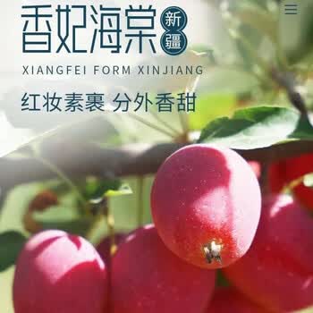 新疆香妃海棠果 新鲜大果特产鸡心果5斤当季新鲜水果酸甜整箱