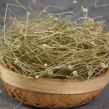 谷精草中药材 珍珠草 谷精珠 谷精新货 100克【图片 价格 品牌 报价】