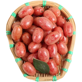 仓梵云南特产新鲜甜羊奶果密花胡颓子热带时令水果牛虱子果坏果包赔