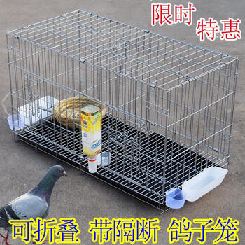 鸽子笼家用配对养殖全套笼子不锈钢色大型白鸽信鸽铁折叠鸟笼鸽笼银色