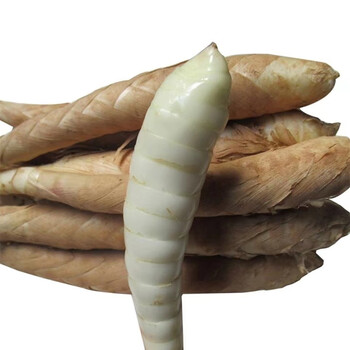 竹芋 新鲜 竹薯 冬粉薯 凉粉薯  高州特产无渣 1000g