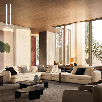 宋奢 意式极简poliform/宝利丰布艺沙发现代简约小户型沙发 c款异形