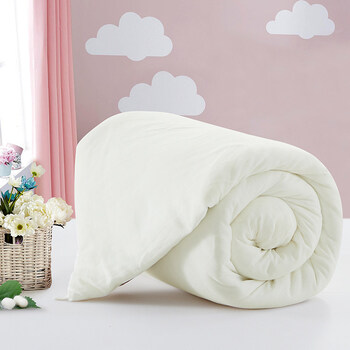 儿童蚕丝被桑蚕丝被芯幼儿园宝宝被子母被夏凉被春秋被 蚕丝被芯120