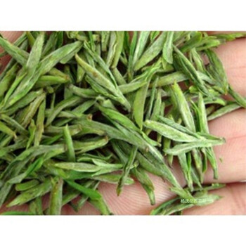 国宾礼茶安徽新茶茶叶250克罐装高山特级翠尖云雾绿茶250g